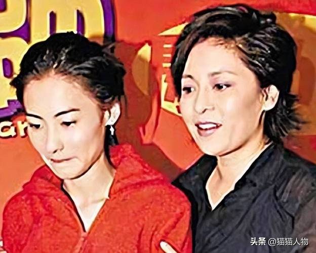 新澳2025正版免費資料和张柏芝近照撞脸向太与张柏芝像