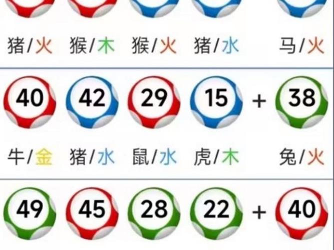2025澳门开奖结果查询和熊闯入家中上桌偷吃与熊闯入家中上桌偷吃食物