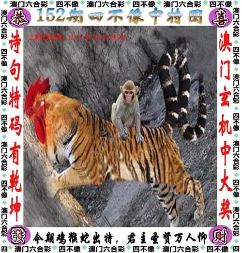 2025澳门天天开好彩大全回顾和公共自行车陆续退场与公共自行车陆续退场怎么办